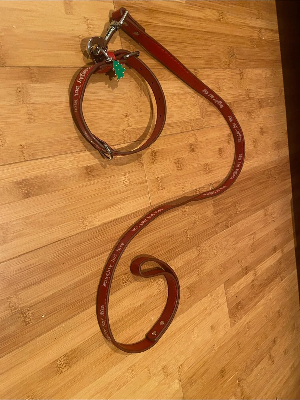 Small Dog Collar